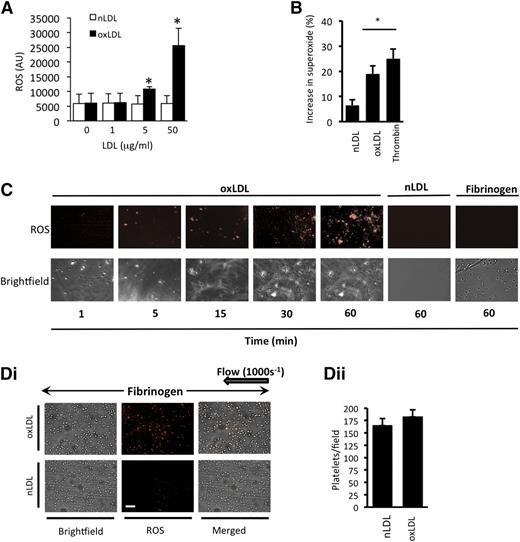 Figure 1. oxLDL stimulates ROS production in platelets. (A) Washed human platelets (1 × 108 platelets/mL) were incubated with the superoxide-detection probe for 30 minutes at 37°C and then treated with either nLDL or oxLDL (1-50 µg/mL) for 15 minutes, and fluorescence was measured at 650 nm (n = 4). *P < .05 compared with basal. (B) As in panel A, except platelets were incubated with DHE (5 µmol/L) for 30 minutes followed by LDL (50 µg/mL) or thrombin (0.01 U/mL) for 15 minutes, and DHE oxidation product for superoxide anion was measured by LC-MS. The data are presented as % increase in superoxide anion above basal (n = 4). *P < .05 compared with basal. (C) Washed human platelets (5 × 107 platelets/mL) were preincubated with a superoxide-detection probe for 30 minutes at 37°C and adhered to slides coated with oxLDL or nLDL (50 µg/mL) or human fibrinogen (100 µg/mL). Platelet fluorescence emission was then captured over time. Representative images of 5 separate experiments are shown. Scale bar, 20 µm. (D) Human platelets were stained with superoxide-detection probe, treated with nLDL or oxLDL (50 µg/mL), reconstituted with autologous RBCs, and perfused through fibrinogen-coated capillary tubes at arterial shear (1000 s−1). (i) Images were then captured under bright-field or fluorescence microscopy (n = 4 separate experiments with different blood donors). (ii) The number of platelets in each field is presented as mean ± SEM (n = 4).