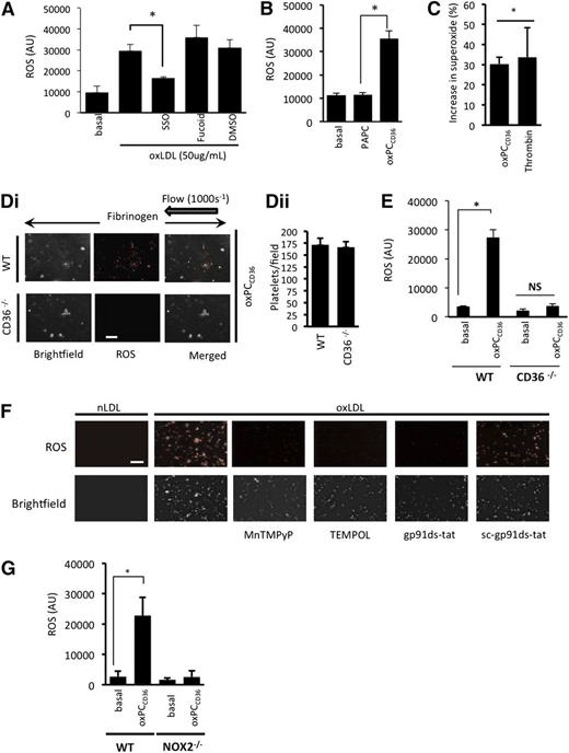 Figure 2. oxLDL stimulates platelet ROS production in a CD36- and NOX2-dependent manner. (A) Suspended human platelets (1 × 108 platelets/mL) were incubated with the superoxide-detection probe for 30 minutes at 37°C, then treated with oxLDL (50 µg/mL) for 15 minutes, in the presence or absence of SSO (100 µmol/L) or fucoidan (50 µg/mL). Fluorescence was measured at 650 nm (n = 4). *P < .05 compared with oxLDL alone. (B) As in panel A, except platelets were treated with oxPCCD36 or PAPC (5 µmol/L) (*P < .05, PAPC compared with oxPCCD36). (C) Suspended human platelets (1 × 108 platelets/mL) were incubated with DHE (5 µmol/L) for 30 minutes followed by oxPCCD36 (5 µmol/L) or thrombin (0.1 U/mL) for 15 minutes, and the DHE oxidation product for superoxide anion was measured by LC-MS. The data are presented as % increase in superoxide above basal (n = 4). *P < .05 compared with basal. (D) WT and CD36−/− murine platelets were stained with superoxide-detection probe and then treated with oxPCCD36 (5 µmol/L). Reconstituted blood was perfused through fibrinogen-coated capillary tubes, and images of adherent platelets were then taken under bright-field or fluorescence microscopy (n = 4 separate experiments with different mice in each group). (i) Representative bright-field and fluorescence images are shown. (ii) The number of platelets in each field is presented as mean ± SEM (n = 4). (E) As in panel B, except WT and CD36−/− murine platelets were used (n = 4). *P < .05, basal compared with oxPCCD36. (F) Human platelets were treated with nLDL or oxLDL platelets in the presence of TEMPOL (1 mmol/L), MnTMPyP (100 µmol/L), gp91ds-tat, or sc-gp91ds-tat (2 µmol/L), or left untreated (control). Representative images of adherent platelets taken under bright-field or fluorescence microscopy are shown (n = 4). (G) Suspended murine platelets (1 × 108 platelets/mL), NOX2−/− or WT, were incubated with the superoxide-detection probe for 30 minutes at 37°C and then treated with oxPCCD36 (5 µmol/L) for 15 minutes at 37°C, and fluorescence was measured at 650 nm (n = 4 individual mice). *P < .05 compared with basal. NS, not significant.