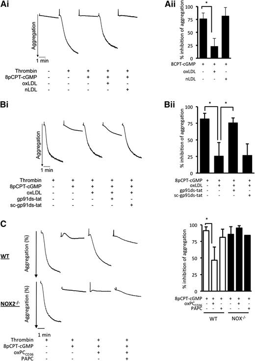 Figure 4. oxLDL modulates cGMP-mediated inhibition of platelet aggregation and arrest under conditions of flow. (A) Washed human platelets (3 × 108 platelets/mL) were incubated with 8-pCPT-cGMP (50 µmol/L) for 2 minutes alone or with nLDL or oxLDL (50 μg/ml) for 15 minutes followed by 8-pCPT-cGMP (50 µmol/L) for 2 minutes. Thrombin-stimulated aggregation was then measured under constant stirring (1000 rpm) at 37°C for 3 minutes. Aggregation was recorded for 3 minutes. (i) Representative aggregation traces. (ii) Percent inhibition of thrombin induced aggregation by cGMP is presented as mean ± SD (n = 4, *P < .05 compared with absence of oxLDL). (B) As in panel A, except platelets were incubated with gp91ds-tat or its scrambled control (both 2 µmol/L) prior to the addition of oxLDL. (i) Representative aggregation traces. (ii) Percent inhibition of thrombin induced aggregation by cGMP is presented as mean ± SD (n = 4). *P < .05. (C) As in panel A, except WT and NOX2−/− murine platelets were treated with oxPCCD36 or PAPC (5 µmol/L) for 15 minutes followed by 8-pCPT-cGMP (50 µmol/L) for 2 minutes. (i) Representative aggregation traces are shown. (ii) Percent inhibition of thrombin induced aggregation by cGMP is presented as mean ± SD (n = 3). *P < .05 compared with the absence of oxPCCD36.