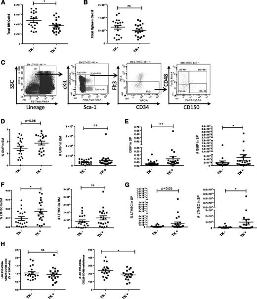 Figure 2. Effects of OB ablation on BM cellularity and stem and progenitor cell populations. (A) Total BM cellularity and (B) SP cellularity in control (TK−) and OB ablated (TK+) mice detected by flow cytometry. (C) Representative flow cytometry gating for LTHSCs. Percentage (left) and total cell number (right) of GMP in (D) BM and (E) SP of OB ablated and control mice. (F) Percentage and (G) total number of LTHSCs of OB ablated and control mice. (H) Percentage (left) and total cell number (right) of LSK Flt3−CD34−CD49b−CD229− cells in MB and SP of OB ablated and control mice. Error bars represent mean ± SEM. Significance values: *P < .05, **P < .01, ***P < .001.
