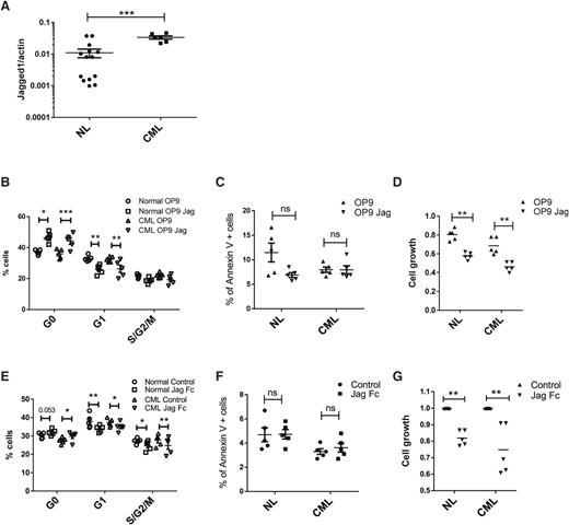 Figure 6. Role of Jagged-1 in regulating normal and CML LTHSC growth. (A) Jagged 1 expression in OBs from normal and BCR/ABL mice. (B) Cell cycle, (C) apoptosis, and (D) cell growth of LTHSCs from control and BCR/ABL mice after coculture with OP9 or OP9-Jag1 for 48 hours. (E) Cell cycle, (F) apoptosis, and (G) cell growth of LTHSCs from control and BCR/ABL mice after culture with or without Jag1/Fc immobilized wells. NL, normal.