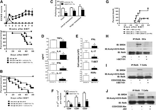 Figure 2. I-BET151 mitigates GVHD, preserves GVT, and regulates NF-kB. (A) I-BET151 decreases GVHD severity. Lethally irradiated B6 recipients (10 Gy) were transplanted from either syngeneic B6 or allogeneic BALB/C donors and injected with I-BET151 or diluent control as in “Study design.” Survival and GVHD clinical score were monitored over time. Data shown are the combined results of 2 independent experiments (mean ± SEM). Mann-Whitney U test was used for the statistical analysis of clinical scores (*P < .05) and log-rank test was used to compare survival curves (**P < .01). (B) I-BET151 decreases GVHD severity in a second BMT model. BALB/C mice were irradiated (8.5 Gy) and transplanted with 5 × 106 T-cell depleted BM cells and 0.6 × 106 CD90+ T cells from either syngeneic BALB/C or allogeneic B6 donors and treated with I-BET151 as in “Study design.” Survival was monitored over time. Data are combined from 2 independent experiments (n = 10 mice in the allogeneic groups). Log-rank test was used to compare survival curves (** P < .01). (C) Histopathologic analysis of bowel and liver after BMT. The GVHD model and I-BET were treated as in (B). Total GVHD scores are the mean ± SE of the sum of scores (*P < .01). (D) Sera cytokine concentration. Mice were transplanted as in “Study design.” Sera were collected on day +7 from allogeneic animals treated with or without I-BET151 and analyzed for TNF-α, IL-6, IFN-γ, and IL-17. Data shown are combined results in each group (mean ± SE; *P < .01). (E) Impact of I-BET151 on cytokine expression in donor T cells. Spleens were collected on day 7 after BMT. Donor-derived T cells (H2b + CD3+) were stained for intracellular IFN-γ, IL-17, T-BET, and ROR-γ by flow cytometry. Data are from 5 mice per group (mean ± SEM). P values were obtained by Student t test (*P < .01). (F) Impact of I-BET151 on donor T cell (H2b+, CD3+, CD4+, or CD8+) proliferation. Data were obtained by combined numbers from 4 to 5 mice per group (mean ± SEM; *P < .01). (G) Induction of leukemia and lymphoma: Mice were transplanted and injected with MBL-2 tumors and analyzed for tumor-free survival as in “Sudy design.” Data from 2 similar but independent experiments were combined. Survival curve was plotted by using Kaplan-Meier estimates.21-23 (H) Disruption of interaction between Acetyl-K310 RelA and BRD4 in DCs by I-BET151. DCs were treated as in Figure 1A, and whole-cell lysates were processed for IP by RelA antibody. Interaction between acetyl-K310 RelA and BRD4 was analyzed by immunoblotting (IB). Data are representative of 3 similar experiments. (I-J) Disruption of interaction between acetyl-K310 RelA and BRD4 in T cells by (I) I-BET151 and (J) JQ1. Purified T cells were treated with CD3/CD28 antibodies and I-BET151 (250 nm) or JQ1 (100 nm) for 24 hours as indicated. IP was performed as in Figure 2H. Data are representative of 3 similar experiments. Tx, treatment.