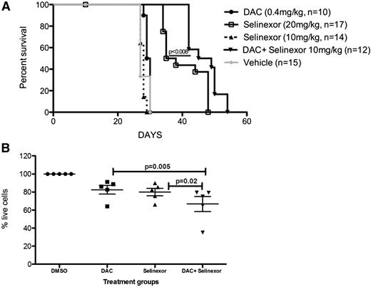 Figure 2. Decitabine priming enhances selinexor antileukemic effects in vivo. (A) Survival curve of NSG mice injected with MV4-11 xenografts and treated with indicated drugs. Survival comparison was made with a log-rank test. (B) Patients’ primary AML blasts were treated with DAC for 16 hours followed by selinexor for 24 hours. Controls included dimethylsulfoxide (DMSO), DAC alone, and selinexor treatments alone. Cell viability was measured by using Annexin V/propidium iodide (PI) staining, and DMSO treated cells were normalized to 100% for comparison between treatment groups.