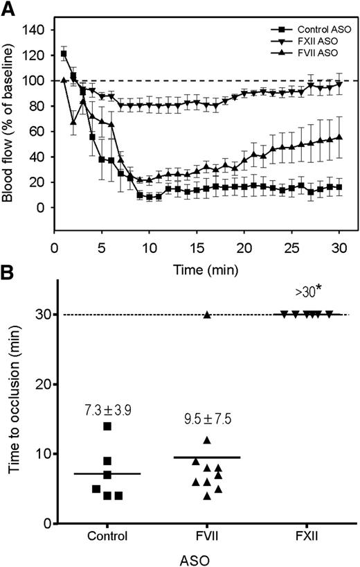 Figure 4. Thrombosis after FeCl3-induced carotid artery injury occurs mainly via the contact system. Wild-type mice were given FXII, FVII, or control ASO by twice weekly subcutaneous injection for up to 6 weeks. A 1 × 2-mm filter paper presoaked in 10% FeCl3 was applied to the right carotid artery for 1.5 minutes to induce vascular injury (n = 6-10/group). (A) Blood flow was continuously monitored before and for 30 minutes after injury. Symbols represent the mean, and the bars reflect the SE. (B) Blood flow and TTO were determined in wild-type mice pretreated with FXII, FVII, or control ASO. TTO data are presented as a scatter diagram, where symbols represent individual values and horizontal lines represent the mean in each of the 3 groups. Values represent mean ± SD; *P < .001 compared with the control ASO group (ANOVA, Holm-Sidak method).