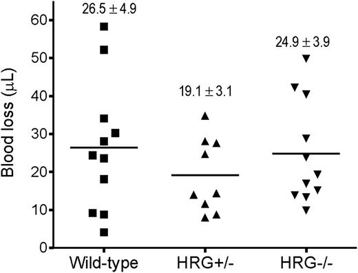 Figure 6. HRG deficiency has no impact on hemostasis. Cumulative blood loss was quantified for 30 minutes after tail-tip amputation in wild-type, HRG+/−, and HRG−/− mice (n = 9-11/group). Symbols represent individual values, whereas horizontal lines represent the mean in each of the 3 groups. Values represent mean ± SD.