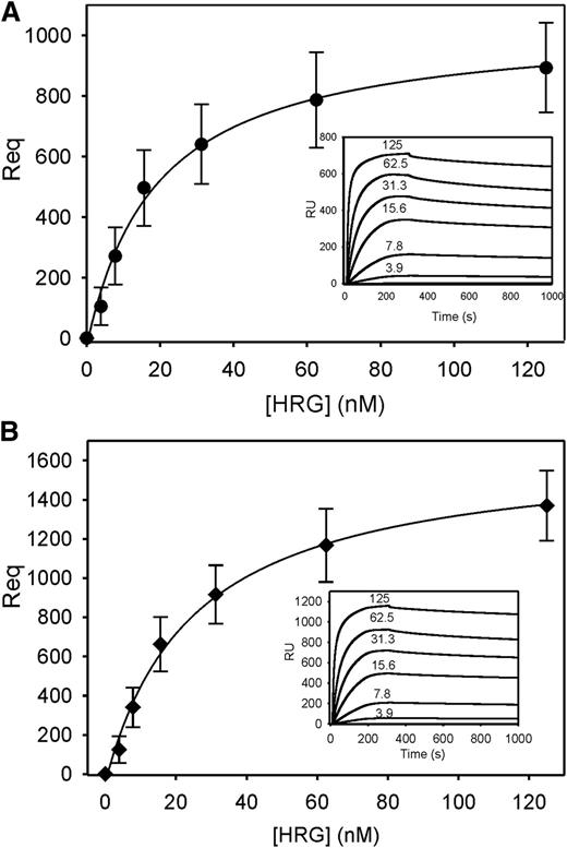 Figure 7. Binding of HRG to DNA or RNA as determined using SPR. (A) Biotin DNA or (B) biotin RNA was adsorbed to 200 to 300 RU on separate flow cells containing immobilized streptavidin. An unmodified streptavidin-containing cell served as the reference control. After injecting 0 to 0.125 nM HRG into flow cells for 300 seconds to assess binding, buffer was injected for 800 seconds to assess dissociation. The amount of HRG bound at equilibrium (Req) was corrected for background and plotted vs input HRG concentrations. Data represent the mean ± SD of 3 determinations and were fit by nonlinear regression analysis using a rectangular hyperbola (line). Insets, representative binding sensorgrams for DNA and RNA, where input HRG concentrations are indicated adjacent to each tracing.