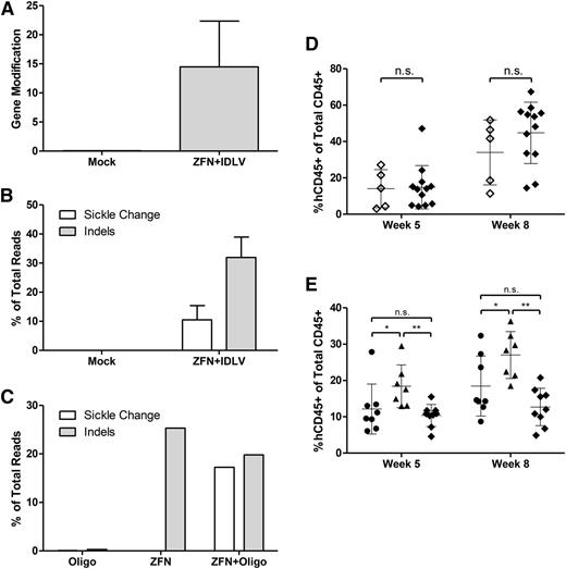 Figure 3. Transplantation of ZFN and donor-treated cells into NSG mice. (A) Gene modification rates of bulk transplanted cells treated with ZFN+IDLV and cultured in vitro as determined by qPCR for the RFLP at 7 days after electroporation. Mock cells are untreated (n = 3 independent experiments). (B) Modification at the sickle base evaluated by high-throughput sequencing for ZFN+IDLV-modified CD34+ cells. Results of sequencing of the β-globin locus showing percentage of total aligned reads containing the changed wild-type to sickle base (T), as well as insertions and deletions (indels) at the cut site. Same samples as in A. Changed base, white; indels, gray. (C) CD34+ cells were electroporated with Oligo, ZFN, or ZFN+Oligo and cultured in vitro before transplantation into NSG mice. Modification rates at the sickle base and indels are shows as in B (n = 1 experiment). (D) Engraftment in the peripheral blood of transplanted mice at 5 and 8 weeks after transplant. Human engraftment determined as a percentage of hCD45+ cells out of the total hCD45+ and mCD45+ cells by flow cytometry of cells from mice receiving either mock- or ZFN+IDLV-treated cells. Mock, open diamonds; ZFN+IDLV, closed diamonds. (n = 3 independent experiments; mock, n = 5; ZFN+IDLV, n = 12; unpaired t test). (E) Engraftment in the peripheral blood as in D of cells from mice receiving either Oligo-, ZFN-, or ZFN+Oligo-treated cells. Oligo, circles; ZFN, triangles; ZFN+Oligo, diamonds (Oligo, n = 8; ZFN, n = 7; ZFN+Oligo, n = 9); 1-way analysis of variance. n.s., not significant. *P < .05, **P < .01. Error bars, mean ± standard deviation.
