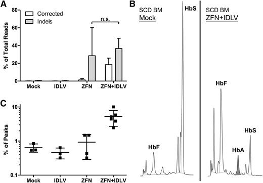 Figure 5. Functional correction of sickle bone marrow CD34+ cells. Bone marrow CD34+ cells from patients with SCD were electroporated with in vitro-transcribed ZFN mRNA and transduced with donor IDLV carrying the WT base at the sickle location and grown under erythroid conditions. (A) Correction at the sickle mutation evaluated by high-throughput sequencing. Results of sequencing of the β-globin locus showing percentage of total aligned reads containing the corrected WT base (A) at the sickle mutation, as well as insertions and deletions (indels) at the cut site. Corrected base, white; indels, gray. (B) HPLC of differentiated erythroid cells at the termination of culture. Cells were pelleted and lysed, and supernatant was analyzed by HPLC. (Left) SCD mock sample. (Right) SCD ZFN+IDLV sample. Shading indicates HbA:WT adult hemoglobin peak. (C) Quantification of the percent of HbA out of the total area under the curve represented by the main peaks. HbA, WT adult hemoglobin; HbF, fetal hemoglobin; HbS, sickle hemoglobin; n.s., not significant (n = 2 independent experiments; mock, n = 3; ZFN only, n = 4; IDLV only, n = 3; ZFN+IDLV, n = 6).