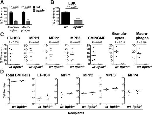 Figure 4. Itpkb−/− HSC have a cell intrinsically reduced long-term repopulating potential. (A) Chimerism (percent of CD45.2+ cells) among donor-derived peripheral blood granulocytes and macrophages ≥24 weeks after injection of 1:1 mixed Itpkb−/− (gray bars) or WT (black bars) CD45.2+ donor and WT CD45.1+ competitor donor Lin− BM into lethally irradiated CD45.1+CD45.2+ recipients. Statistical significance for the indicated comparisons was determined by unpaired Student t test. Representative of 3 independent experiments. Representative FACS data in supplemental Figure 2C. (B) Donor-derived LSK cell chimerism ≥24 weeks after BM transfer. Pooled data from 2 independent experiments. Representative FACS data are shown in supplemental Figure 2D. (C) BM LT-HSC, MPP1-3, common myeloid progenitor/granulocyte monocyte progenitor, and blood granulocyte and macrophage chimerism in lethally irradiated 2° recipients 14 weeks after reconstitution with BM from 1° recipients 29 weeks after injection of 1:1 mixed Itpkb−/− or WT CD45.2+ and WT CD45.1+ competitor BM. Representative FACS data in supplemental Figure 2E. (D) BM total cell, LT-HSC, and MPP numbers in each 4 CD45.2+ lethally irradiated WT or Itpkb−/− hosts 12 weeks after injection with CD45.1+CD45.2+ WT BM. Bars denote means.