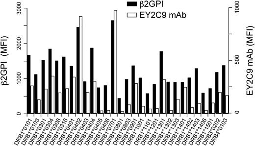 Figure 5. aPL antibody binds to β2GPI complexed with different HLA-DR alleles. N-terminal His-tagged β2GPI and GFP were cotransfected into 293T cells together with different HLA-DR alleles. The transfectants were stained with anti-His mAb (β2GPI, solid bars) or aPL antibody (EY2C9 mAb, open bars), followed by APC-labeled anti-mouse IgG or anti-human IgM Ab, respectively. MFIs of APC on GFP-positive cells are shown. Data are representative of 3 independent experiments.