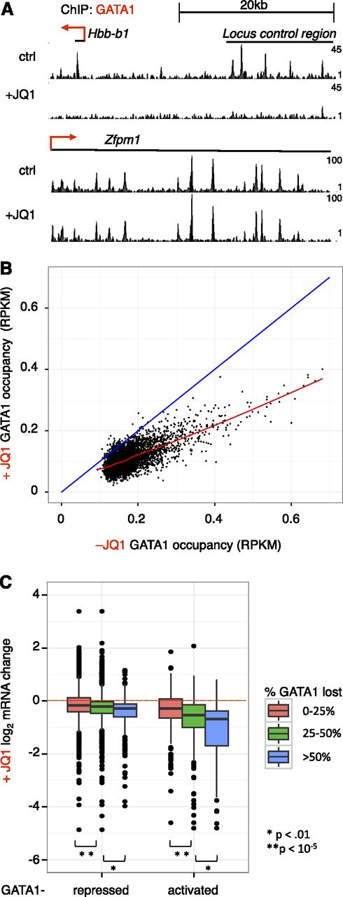 Figure 3. Effects of BET inhibition on GATA1 occupancy genome-wide. (A) Genome browser tracks showing GATA1 binding at the Hbb and Zfpm1 loci in the absence and presence of 250 nM JQ1. Tracks are from 1 biological experiment and representative of 2 with similar results. (B) GATA1 ChIP-seq read density following GATA1 induction for 24 hours in the absence or presence of JQ1. The red line shows a Loess regression; the blue diagonal demarcates no change between control and JQ1 treatment. (C) Boxplot showing relationship between BET dependence of GATA1 occupancy and transcriptional activation. GATA1 peaks are linked to nearest gene within 5 kb. P values reflect results of 2-sample t tests from indicated comparisons.