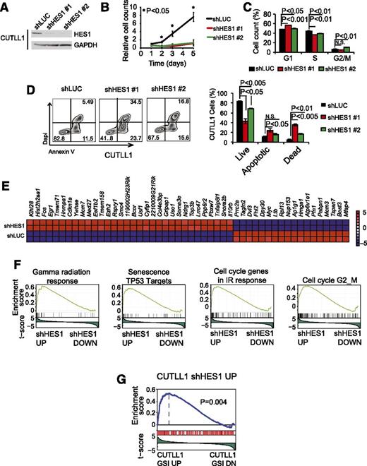 Figure 1. Cellular and transcriptional effects of HES1 knockdown in human T-ALL cells. (A) Western blot analysis of HES1 expression in CUTLL1 T-ALL cells transduced with shRNAs targeting the Renilla luciferase gene (shLUC) or HES1 (shHES1). (B) Quantification of cell growth in CUTLL1 cells expressing shLUC or shHES1. (C) Cell cycle analysis of CUTLL1 cells expressing shLUC or shHES1. (D) Representative flow cytometry plots after annexin V-allophycocyanin (annexin V-APC) and 4′,6-diamidino-2-phenylindole (DAPI) staining and quantification of apoptosis in CUTLL1 cells expressing shLUC or shHES1. Percentage populations are indicated in each quadrant. (E) Heat map representation of the top 50 differentially expressed genes (P < .01) between shLUC and shHES1 CUTLL1 cells. The scale bar shows color-coded differential expression, with red indicating higher levels and blue indicating lower levels of expression. (F) Representative examples of gene set enrichment plots corresponding to GSEA analysis of MSigDB C2 data sets enriched in the expression signature associated with shHES1 CUTLL1 cells compared with shLUC controls. (G) GSEA analysis plot of genes upregulated on HES1 shRNA knockdown in the expression signature associated with GSI-induced NOTCH1 inhibition in CUTLL1 cells. Bar graphs indicate mean values of triplicate measurements, and error bars represent standard deviation.