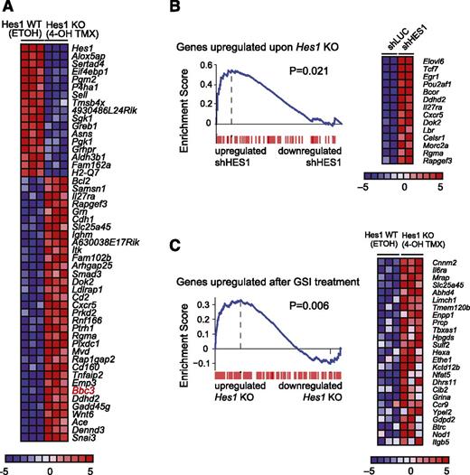 Figure 3. Convergent gene expression programs in human and mouse NOTCH1-induced T-ALL cells on HES1 inactivation. (A) Heat map representation of the top differentially expressed genes between Hes1 conditional knockout T-ALL (ΔE-NOTCH1 Rosa26 Cre-ERT2 Hes1flox/flox) cells treated with vehicle only (ETOH) or tamoxifen (4-OH TMX) in vitro. The scale bar shows color-coded differential expression, with red indicating higher levels and blue indicating lower levels of expression. (B) GSEA enrichment plot and top leading-edge genes upregulated after Hes1 knockout compared with the transcriptional signature associated with HES1 knockdown in CUTLL1 cells. (C) GSEA enrichment plot and top leading-edge genes upregulated after GSI treatment of NOTCH1-induced murine T-ALL cells compared with the transcriptional signature induced by tamoxifen treatment in Hes1 conditional knockout leukemia cells (Hes1 KO).
