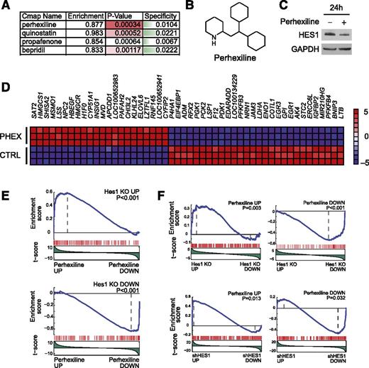 Figure 5. Identification of perhexiline as a Hes1-signature modulator drug. (A) Top Connectivity Map analysis hits for drugs with signatures overlapping with those induced by Hes1 knockout in NOTCH1-induced T-ALL. (B) Structure of perhexiline. (C) Western blot analysis of HES1 expression in CUTLL1 cells treated with perhexiline. (D) Heat map representation of the top 50 differentially expressed genes (P < .0001) between vehicle-treated and perhexiline-treated CUTLL1 cells. The scale bar shows color-coded differential expression, with red indicating higher levels and blue indicating lower levels of expression. (E) GSEA analysis plots of genes upregulated and downregulated on Hes1 knockout in mouse NOTCH1-induced T-ALL cells in the expression signature induced by perhexiline treatment. (F) GSEA analysis plots of genes upregulated and downregulated on perhexiline treatment in CUTLL1 cells in the expression signature induced by Hes1 knockout in mouse NOTCH1-induced T-ALL cells and in the expression signature induced by HES1 shRNA knockdown in CUTLL1 cells.
