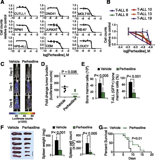 Figure 6. Antileukemic effects of perhexiline in T-ALL. (A) Dose-response cell viability curves (relative cell number equivalents compared with vehicle-treated controls) of T-ALL cell lines treated with perhexiline in triplicate. (B) Dose-response cell viability curves (relative cell number equivalents compared with vehicle-treated controls) of primary T-ALL patient samples treated with perhexiline in triplicate. (C,D) Representative images (C) and quantitative changes in tumor burden (D) assessed by luciferase in vivo bioimaging in NOTCH1-induced T-ALL-bearing mice treated with vehicle only or perhexiline. (E) Quantitative analysis of cellularity and leukemia infiltration (assessed by green fluorescent protein expression) in bone marrow from NOTCH1-induced T-ALL bearing mice (n = 6) treated with vehicle only or perhexiline. (F) Mouse spleens from NOTCH1-induced T-ALL bearing mice treated with vehicle only or perhexiline. Spleen weight and cellularity in NOTCH1-induced T-ALL-bearing mice treated with vehicle only or perhexiline. (G) Kaplan-Meier survival curves of mice harboring NOTCH1-induced T-ALL treated for 5 consecutive days with vehicle only (n = 10) or perhexiline (n = 10). Graphs indicate mean values; error bars represent standard deviation.