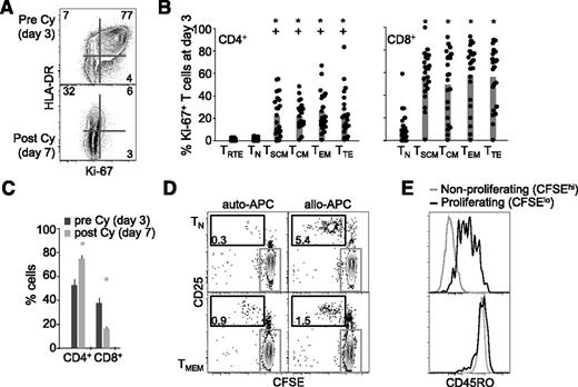 Figure 1. Pt-Cy preferentially depletes proliferating effector/memory T cells. (A) Representative (out of 10) Ki-67 and HLA-DR expression in PB CD3+ T cells at day 3 and day 7 post–haplo-HSCT. (B) Mean ± standard error of the mean (SEM) frequency (n = 22; each dot represents a patient) of Ki-67+ T cells with a given differentiation phenotype at day 3 post–haplo-HSCT. +P < .05 vs TRTE; *P < .05 vs TN; Wilcoxon test. (C) Mean ± SEM frequency (n = 23) of CD4+ and CD8+ T cells at day 3 and day 7 post–haplo-HSCT. P < .05 vs day 3; Wilcoxon test. (D) CFSE dilution and CD25 expression by TN and TMEM following incubation with auto-APCs or allo-APCs for 3 days. The gate in black identifies CFSElo proliferating (ie, alloreactive) cells, whereas that in gray CFSEhi nonproliferating cells. (E) CD45RO expression by CFSElo and CFSEhi cells, identified as in panel D, originally sorted as TN (top) or TMEM (bottom).