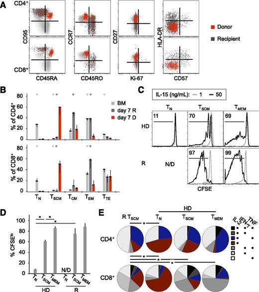 Figure 2. Donor TSCM dominate the peripheral T-cell compartment following pt-Cy. (A) FACS analysis of PB T cells at day 7 post–haplo-HSCT. Donor (D; red) and recipient (R; dark gray) cells are identified by an antibody recognizing the mismatched HLA-A*02. Light-gray cells in the background are T cells from the PB of a healthy donor. (B) Median ± SEM frequency of D and R T cells (identified as in panel A) with a given differentiation phenotype in patients at day 7 post–haplo-HSCT (n = 7, CD4+; n = 6, CD8+). Only donor-recipient pairs whose mismatched HLA could be investigated by flow cytometry are included. *P < .05 vs day 7 D cells; Mann-Whitney test. (C) Percent CFSElo CD8+ T cell subsets from a healthy donor (HD) and a recipient (R) at day 41 post–haplo-HSCT after PBMC culture with 1 (gray, serving as a nonproliferating control) or 50 ng/mL IL-15 (black) for 8 days. N/D, not detected. (D) Mean ± SEM CFSElo CD8+ T-cell subsets (calculated as in panel C) from healthy donors (n = 6) and haplo-HSCT patients (n = 5). TMEM, CD45RO+ memory T cells. *P < .05, Mann-Whitney test. (E) Combinations of IFN-γ, IL-2, and TNF production in gated TSCM from patients (n = 3) and in T-cell subsets from healthy donors (HD; n = 4). *P < .05, permutation test.