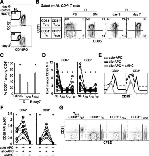 Figure 3. Putative TN-cell origin of posttransplant TSCM. (A) Representative frequency (out of 12) of CD45RO−CCR7+ T cells in a patient a day 0 and day 3 post–haplo-HSCT. (B) Representative (out of 12) CD31 and CD95 expression on NL-CD4+ T cells from the PB and BM of a donor and from the PB of the related recipient at different times post–haplo-HSCT. A scheme with the nomenclature of subsets according to phenotype is depicted on the left. NL, CD45RO−CCR7+. Numbers in plots indicate the percentage of cells in the gates. (C) Mean ± SEM CD31 expression on PB CD4+CD95− cells and CD4+ TSCM from marrow donors (D) and CD4+ TSCM from the related recipients (R; n = 12) at day 7 post–haplo-HSCT. *P < .05 vs D TSCM; Wilcoxon test. (D) Fold change in CD95 median fluorescence intensity (MFI) in different T-cell subsets (n = 19) between day 3 and day 7. *P < .05 vs NL; Wilcoxon-paired test. (E) Representative analysis of CD95 expression by TN cells following incubation with different stimuli. Histograms are referred to the CD25−CD69− nonalloreactive population, as specified in the text. (F) Summary of the data obtained in panel E (n = 8; 4 independent experiments; *P < .05 vs allo-APCs, Wilcoxon-paired test). (G) CFSE dilution and CD31 expression by FACS-sorted T-cell subsets following incubation with allo-APCs for 5 days. D, donor; R, recipient.
