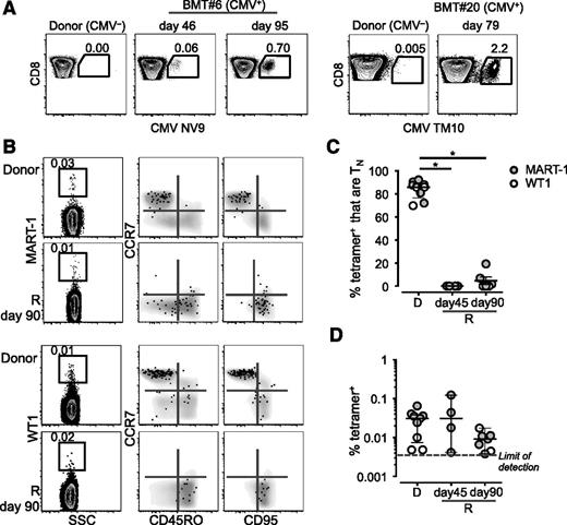 Figure 4. Persistence and memory differentiation of antigen-specific TN. (A) Frequency of CD8+ T cells in PBMCs from 2 CMV− donors and matched CMV+ recipients at different time points post–haplo-HSCT. (B) Frequency and phenotype of MART-1– and WT1-specific CD8+ T cells identified by MHC class I tetramers. Tetramer+ T cells are overlaid on top of the total CD8+ T-cell population depicted in gray. In panels A and B, numbers indicate the percentage of cells identified by the gates. (C) Frequency of MART-1+ (filled gray circles) and WT1+ (blank circles) CD8+ T cells with a TN-cell phenotype in donors (D) and recipients (R) at day 45 and day 90 post–haplo-HSCT. P < .05, Mann-Whitney test. (D) Mean ± SEM frequency of the cells identified in panel B.