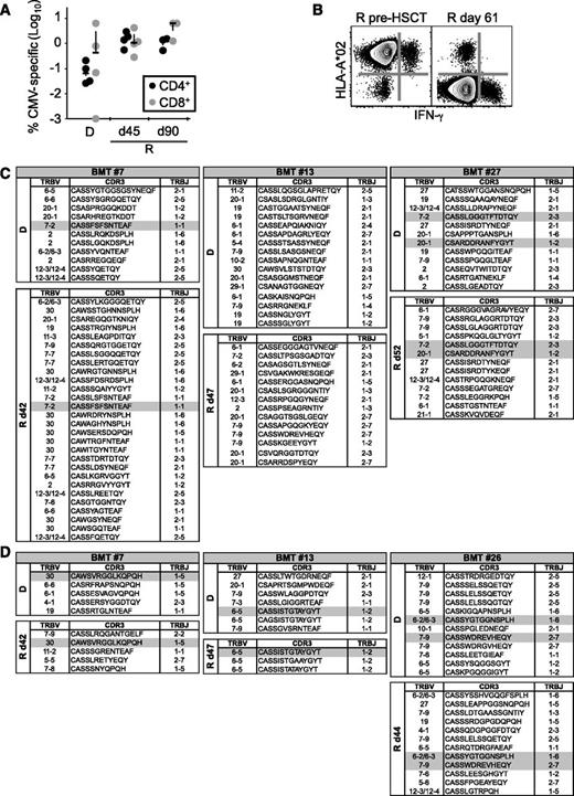 Figure 5. Antigen-specific memory T cells may survive pt-Cy and expand in the host in the presence of the cognate antigen. (A) Frequency of CMV-specific memory T cells in haplo-HSCT recipients (R) at day 45 and day 90 and in related donors (D). (B) Representative analysis of donor-derived CMV-specific T-cell responses detected by simultaneous analysis of the mismatched HLA (in this case the donor was HLA-A*02−) and intracellular IFN-γ following stimulation with CMV pp65 overlapping peptide mix. Plots show Aqua−CD3+ cells. (C-D) TCRB clonal composition of CMV-specific CD4+ (C) and CD8+ (D) T cells in CMV+/+ donor/recipient pairs. Overlapping sequences are highlighted in gray. d, day after haplo-HSCT.