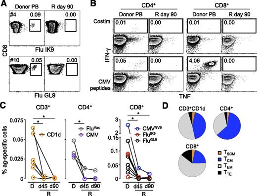 Figure 6. Poor expansion of adoptively transferred memory T cells in the absence of cognate antigen. (A) MHC class I tetramer identification of CD8+ T cells specific for Flu IK9 and Flu GL9 epitopes in the PB of marrow donors and the related recipients (R) at day 90 post–haplo-HSCT. (B) TNF and IFN-γ production by CD4+ and CD8+ T cells from the haplo-HSCT #10 donor/recipient pair (CMV+ and CMV−, respectively) following in vitro stimulation with CMV pp65 peptide pool. In panels A and B, numbers indicate the percentage of cells identified by the gates. (C) Summary of the frequency of CD3+ natural killer T cells binding CD1d/PBS57 tetramer and Flu and CMV-specific CD4+ and CD8+ T cells from the PB of donor (D) and the related recipients (R) at day (d) 45 and d90 post–haplo-HSCT. *P < .05, Mann-Whitney test. (D) Differentiation phenotypes of the transferred antigen-specific T cells identified in panel C. Data are presented relative to total memory T cells.