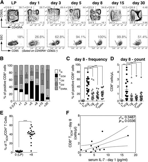 Figure 1. Donor-derived TSCM lymphocytes are selectively enriched early after haploidentical HSCT. (A) Flow cytometric plots of CD8+ T-cell phenotype from a representative patient (UPN#15) within the LP and at different points after HSCT, as labeled. Top row plots depict the expression of CD45RA and CD62L, which allows the identification of TCM (CD45RA−CD62L+), TEM (CD45RA−CD62L−), and TEMRA (CD45RA+CD62L−). Quadrant frequencies are indicated. To discriminate between TN and TSCM, which are both CD45RA+CD62L+, double-positive cells are gated and CD95 expression is shown in the bottom row plots. TSCM are identified as CD95+, and TN as CD95−. The percentages of TSCM gated on CD45RA+ CD62L+ CD8+ T lymphocytes are shown. (B) Summary of CD8+ T-cell subset distributions, expressed as percentages on total CD8+ T cells, at the indicated points post-HSCT. (C) Comparison of CD8+ T-cell subset frequencies at day 8 post HSCT. Each dot represents a single patient. (D) Comparison of the absolute numbers of circulating CD8+ T cell subsets at day 8 post-HSCT. (E) Comparison of TSCM frequencies among LP and day 8 post-HSCT. Data are shown as mean values ± SEM of the 20 patients included in the study. (F) Linear regression analysis between CD8+ TSCM counts at day 8 post-HSCT and the serum level of IL-7 measured at day 1 post-HSCT (n = 13). Gray line denotes the best-fit line of the linear regression analysis, whereas black dashed lines indicate the 95% confidence interval. The r2 and P value of the slope are reported in the upper-right part of the panel.