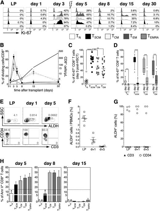 Figure 2. pt-Cy administration abrogates T-cell proliferation but does not prevent accumulation of TSCM. (A) Flow cytometry plots depict Ki-67 expression on CD8+ T cell subsets from a representative patient (UPN#20) at different points after HSCT, as labeled. Gray arrow denotes pt-Cy administration. (B) Summary of the percentages of proliferating CD8+ T cell subsets at the indicated points post-HSCT. Gray line designates absolute CD8+ T cell counts. Gray shade indicates pt-Cy administration. (C) Comparison of the percentage of Ki-67+ cells among the different CD8+ T-cell subsets at day 3 post-HSCT (before pt-Cy administration and in the absence of any immunosuppressive agent). (D) Comparison of the percentages of proliferating cells before pt-Cy administration (day 3) and at the point when highest TSCM frequencies were detected (day 8). (E) Flow cytometric plots of ALDH enzymatic activity from a representative patient (UPN#17) of the 4 patients tested for ALDH activity. Top row plots show ALDH+ cells at the labeled points, whereas bottom row plots show CD34 and CD3 expression on ALDH+ gated cells. (F) Scatter plot depicts the mean percentage of circulating ALDH+ cells at the indicated points. (G) Scatter plot shows the belonging lineage of ALDH+ cells at the labeled points: CD34+ cells are indicated with open circles, CD3+ cells with black triangles (n = 4). (H) Percentages of Annexin V+ early apoptotic cells within CD8+ T cell subsets at days 5, 8, and 15 post-HSCT. Dashed black line indicates mean percentage of Annexin V+ cells measured in leukapheresis (n = 3). n.e., not evaluable.