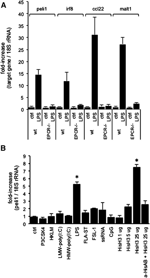 Figure 2. EPCR-dependent biomarker regulation in cultured cells. (A) GM-CSF–elicited BMDCs from wild-type or EPCR-deficient mice were treated for 3 hours with LPS (100 ng/mL) and mRNA levels of Irf8, Peli1, Ccl22, and Malt1 relative to 18S rRNA were measured by quantitative PCR. Data are expressed as the fold-difference relative to untreated wild-type cells and represent average ± standard deviation from 4 independent culture experiments. (B) RAW cells were treated for 3 hours with the indicated TLR ligands, and the abundance of Peli1 mRNA relative to 18S rRNA was measured by RT-PCR. Data represent the average ± standard deviation from 2 independent experiments with triplicate measurements of each sample. *P < .01 by pairwise comparison with levels in the untreated sample (Student 2-tailed t test). Ctrl, untreated sample; FLA-ST, Flagellin Salmonella typhimurium (TLR5 agonist; RAW cells lack TLR5); FSL-1: Pam2CGDPKHPKSF; HKLM, heat-killed L. monocytogenes. Corresponding data for Irf8, Ccl22, and Malt1 are shown in supplemental Figure 2.