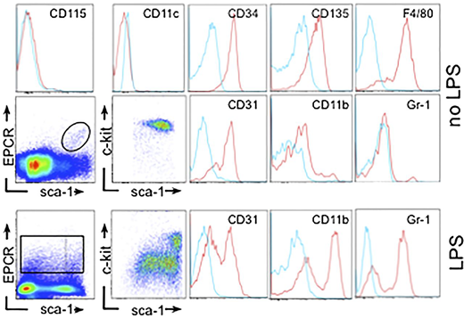 Figure 4. EPCR expression in bone marrow–resident macrophages. Flow cytometric characterization of bone marrow–resident EPCRPOS myeloid cells in unchallenged wild-type mice (no LPS) and 16 hours after LPS challenge (34 mg/kg). Scatterplots depict expression of EPCR, c-kit, and Sca-1 in CD45POS bone marrow cells. Histograms show surface expression of the indicated antigens (red line) in EPCRPOS cell populations in the indicated gates, with blue color indicating the signals obtained with isotype-matched nonimmune antibody. Cells coexpressing EPCR, Gr1, and CD11b express low levels of Sca-1 (as determined by back-gating; not shown).