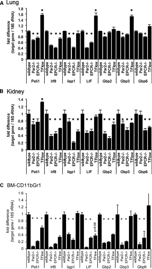 Figure 5. Attenuated interferon-regulated gene expression in the bone marrow and peripheral organs of LPS-challenged mice. Semiquantitative measurement of the indicated mRNAs relative to 18S rRNA by RT-PCR in (A) total lung, (B) kidney tissue, and (C) FACS-enriched bone marrow resident Gr1CD11bPOS cells of wild-type mice, mice lacking PAR2 or EPCR, and from TFLOW mice with reduced hematopoietic cell TF expression. Data are expressed as the fold increase relative to LPS-challenged wild-type mice and represent the average ± standard deviation from triplicate measurements of a single pooled sample generated by combining equal amounts of RNA prepared from 4 individual mice before reverse transcription (for lung and kidney tissue) or from 1 sample of RNA prepared from Gr1CD11bPOS cells isolated via FACS from the pooled bone marrows of 5 mice each. *P < .05 compared with wild-type controls.