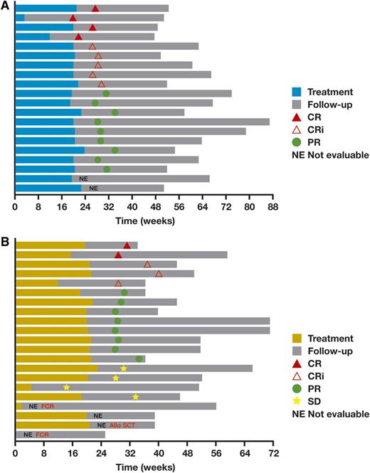 Figure 2. Plots of duration of time on therapy and response for each patient. (A) Obinutuzumab plus B. (B) Obinutuzumab plus FC. Allo SCT, allogeneic stem cell transplantation; FCR, fludarabine and cyclophosphamide plus rituximab.