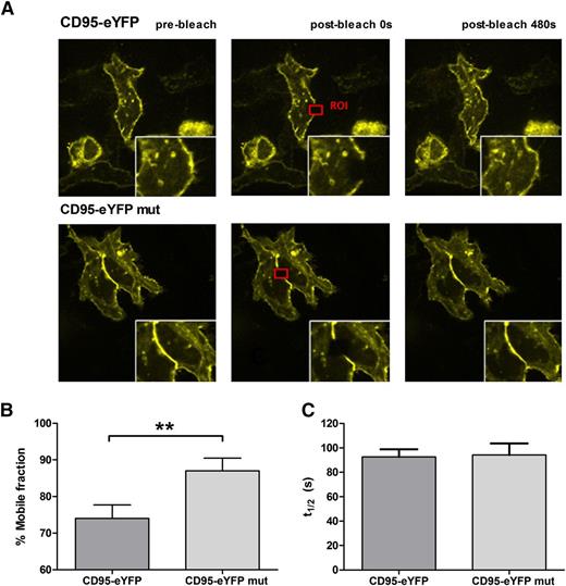 Figure 5. Mobility of CD95 within the plasma membrane is regulated by palmitoylation. FRAP assays were performed to investigate the impact of palmitoylation on the receptor’s mobility on the plasma membrane. A typical experiment is shown for CD95-eYFP and CD95-eYFP mut (A). Comparison of wild-type (palmitoylated) CD95 with mutated (C199S, unpalmitoylated) CD95 showed that the mobile fraction is significantly higher in cells expressing the unpalmitoylated receptor (n = 15), while t1/2 is unaffected (B-C). Means are given with their SEM. The statistical significance was determined using the Student t test. *P < .05, **P < .01, or ***P < .001 were considered significant.