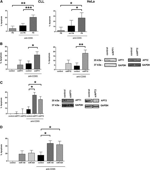 Figure 6. APT1 and APT2 control CD95-mediated apoptosis. PB treatment significantly enhanced apoptosis mediated through anti-CD95 (CH11) in CLL cells after 24 hours (n = 14). Apoptosis of CLL cells was determined by Annexin V/7-AAD staining and subsequent flow cytometry. Apoptosis was also significantly increased after treatment of HeLa cells with PB and CD95 after 24 hours (n = 3). Survival of HeLa cells was determined by XTT assays (A). Specific siRNA knockdown of APT1 (n = 3) or APT2 (n = 5) for 48 hours was able to mimic the PB effect in CLL cells (B) and in HeLa cells (n = 3) (C). Knockdown efficiency was determined by western blotting (B-C). In addition, overexpression of miRNAs regulating APT1 and APT2 for 48 hours also led to increased apoptosis in HeLa cells (n = 4) (D). Means are given with their SEM. The statistical significance was determined using the Student t test. *P < .05, **P < .01, or ***P < .001 were considered significant.