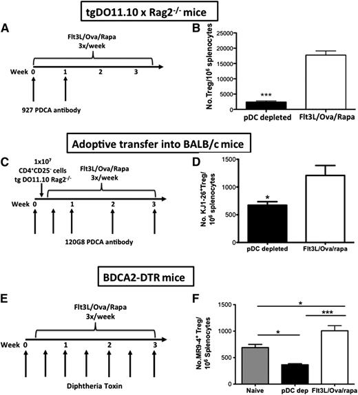 Figure 5. Treg induction by Flt3L/antigen/rapamycin cocktail is pDC dependent. (A) Experimental timeline of DO11.10-tg Rag-2−/− BALB/c mice that received 2 weekly injections of PDCA-1 antibody (clone 927) to deplete pDCs. Mice were injected 3 times per week for 3.5 weeks with Flt3L/OVA323-339/rapamycin during the course of PDCA-1 antibody administration. Flt3L/OVA323-339/rapamycin was continued for 2 more weeks after PDCA-1 antibody treatment. (B) Treg induction was substantially lower in pDC-depleted mice after Flt3L/OVA323-339/rapamycin treatment. Data are average ± SD (n = 6 per group). Statistical differences were determined by the Student t test. (C) Experimental timeline of BALB/c mice that received 5 IV injections of PDCA-1 antibody (clone 120G8) over 3 weeks. Mice were infused with 1 × 107 CD4+CD25− effector T cells from DO11.10-tg x Rag2−/− mice 1 day after the first PDCA-1 antibody injection. Mice continued to receive Flt3L/OVA323-339/rapamycin combination during the course of PDCA-1 antibody administration. Control mice only received Flt3L/OVA323-339/rapamycin treatment. (D) Induction of OVA specific (KJ1-26+) Treg from transplanted donor (DO11.10) cells was significantly lower in pDC-depleted mice after Flt3L/OVA323-339/rapamycin treatment. Data are average ± SD (n = 8 per group). Statistical differences were determined by the Student t test. (E) Experimental timeline of BDCA-2-DTR mice that received IV injections of DT (3 times per week for 3 weeks) to deplete pDCs. Mice continued to receive Flt3L/OVA323-339/rapamycin combination during the course of pDC depletion. Control mice only received Flt3L/OVA323-339/rapamycin treatment. (F) Increased OVA specific (MR9-4+) Treg in Flt3L/OVA323-339/rapamycin treated control mice as compared with naïve animals, which is abrogated by pDC depletion. Data are average ± SD (n = 4 per group). Statistical differences were determined by 1-way ANOVA with Bonferonni’s multiple comparison posttest analysis.