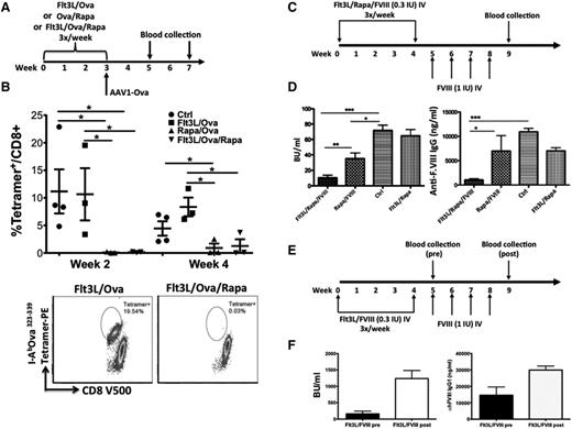 Figure 7. Flt3L combined with rapamycin prevents antigen-specific immune response in gene and protein therapy models. (A) Experimental timeline of C57BL/6 mice that were treated with combinations of Flt3L/OVA323-339, OVA323-339/rapamycin, or Flt3L/OVA323-339/rapamycin (3 times per week for 3 weeks). Treatment was followed by challenge with scAAV1-CMV-OVA, delivered by intramuscular injection. (B) OVA323-339-specific CD8+ responses from blood were enumerated at 2 and 4 weeks postvector injection. Representative dot plots of OVA323-339-specific tetramer labeling are shown for 2 treatment conditions: Flt3L/OVA323-339 and Flt3L/OVA323-339/rapamycin. (C) Experimental timeline. Male F8e16−/−BALB/c mice were treated 3 times per week IV with combinations of Flt3L/rapamycin/low-dose FVIII (0.3 IU/mL), or rapamycin/FVIII, or Flt3L/FVIII for 4 weeks (using 0.3 IU FVIII per dose per mouse). Mice were subsequently challenged with FVIII replacement therapy (1 IU IV, 1 time per week for 4 more weeks). Control mice received the FVIII challenge only (ie, without prior immune tolerance regimen). Blood was collected on weeks 7 and 9. (D) Antibody titers against FVIII were determined by Bethesda assay and by FVIII-specific IgG1 enzyme-linked immunosorbent assay. (E) Timeline for male F8e16−/−BALB/c mice that were treated three times per week IV with Flt3L/low-dose FVIII (0.3 IU/mL) for 4 weeks. Mice were subsequently challenged with FVIII replacement therapy (1 IU IV, 1 time per week for 4 more weeks). (F) Mice pretreated with the Flt3L/FVIII combination developed high-titer inhibitor inhibitors (“Pre’), which further increased after FVIII challenge (“Post”). IgG1 responses were similarly elevated.