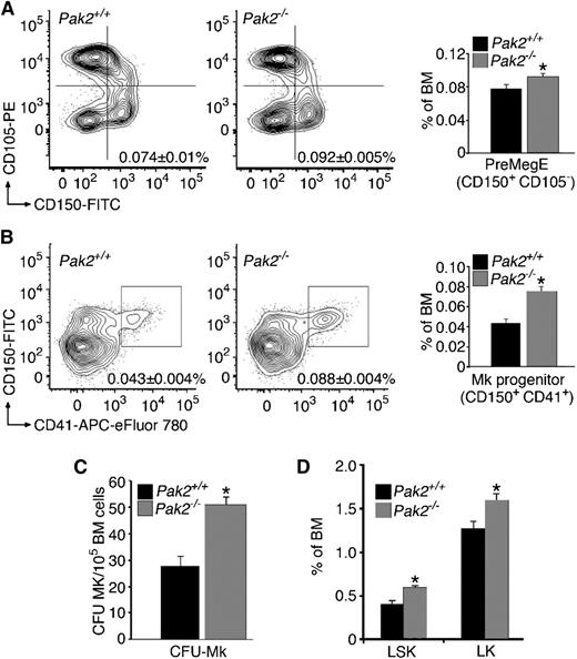 Figure 3. Pak2 deficiency increases megakaryocyte precursors and hematopoietic stem cells. (A) Percentage of bone marrow from wild-type or Pak2−/− mice that are PreMegE identified by CD150+ and CD105− after gating for Lin−C-kit+Sca1− (*P < .05). (B) Percentage of bone marrow from wild-type or Pak2−/− mice that are committed MkPs, defined by CD41+ and CD150+, after gating for Lin−C-kit+Sca1− (*P < .0001). (C) MegaCult-C colony-formation assays (CFU-Mk) of 105 unsorted bone marrow cells from wild-type and Pak2−/− mice 14 DPI. Number of megakaryocyte colony-forming units (CFU-Mk) were counted after staining with acetylcholinesterase (*P < .0002). (D) Hematopoietic stem cells in bone marrow of wild-type and Pak2−/− mice. LSK, Lin−/C-kit+/Sca1+; LK, Lin−/C-kit+/Sca1− (*P < .05). All bone marrow measured at 14 DPI. Experiments included n > 5 mice/genotype, mean ± SEM.