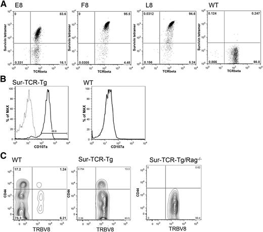 Figure 1. Survivin-specific T cells from Sur-TCR-Tg mice respond to survivin20-28 peptide. (A) CD8+ T cells from peripheral blood leukocytes of Sur-TCR-Tg mice bind survivin tetramer (gated CD8+ splenocytes are shown from E8, F8, and L8 founders and WT mice). (B) Sur-TCR-Tg CD8+ splenocytes (left panel) express high levels of CD107a following stimulation by Sur20-28 (solid line), compared with control E7 peptide (dotted line). Splenocytes from WT mice show no significant degranulation when exposed to the same peptide (right panel). (C) Expression of CD44 and TRBV8 (TCR β-variable) on gated CD8+ peripheral blood lymphocytes from WT, Sur-TCR-Tg, and Sur-TCR-Tg/Rag−/− mice. Results are shown from 1 representative mouse, and similar results were observed in >6 animals of each type.