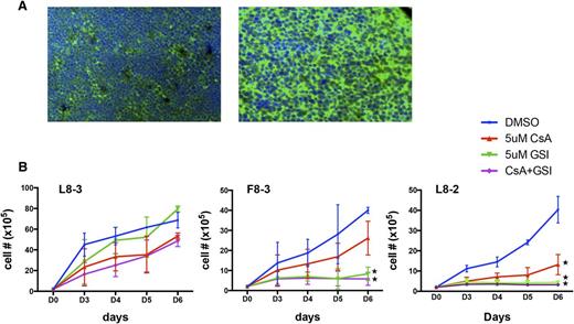 Figure 6. Sur-TCR-Tg T-ALL overexpress Notch1 and cell lines are sensitive to treatment with NOTCH inhibitors and/or cyclosporine A. (A) Immunofluorescent staining of anti-NOTCH1 antibodies in thymi of 1 representative preleukemic (left) and leukemic (right) Sur-TCR-Tg mouse (×50 magnification). Similar results were observed in >4 animals. (B) Three separate Sur-TCR-Tg T-ALL lines were treated with a GSI or CsA or both agents and live cells were counted daily during a 1-week culture. Stars designate cultures where significantly reduced cell counts were observed F8-3 and L8-2 using either GSI or CsA or the combination. Results are representative of 4 independent experiments for each cell line.