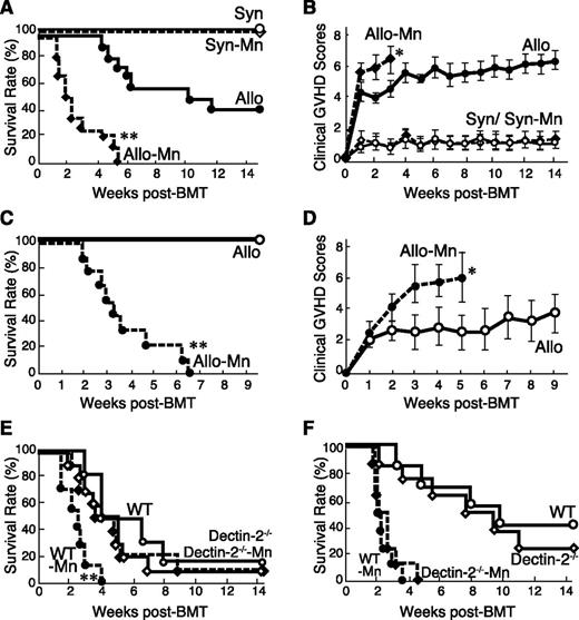 Figure 1. Administration of Mn exacerbates acute GVHD after allogeneic BMT. (A-B) Lethally irradiated B6D2F1 mice were transplanted with 4 × 106 TCD-BM cells plus 4 × 106 T cells from allogeneic (Allo) B6 donors or syngeneic (Syn) donors on day 0, followed by single intaperitoneally injection of Mn (1 mg/g body weight) or PBS. Survival (A) and clinical GVHD scores (B, means ± standard error) of Syn controls (open circles), Mn-treated Syn (open diamonds), Allo controls (closed circles), and Mn-treated Allo (closed diamonds) from 3 independent experiments were combined (n = 12-15 per group). (C-D) Lethally irradiated B6 mice were transplanted from C3H.Sw donors. Survival (C) and clinical GVHD scores (D, means ± standard error) of Allo controls (open circles) and Mn-treated Allo (closed circles) from 3 independent experiments were combined (n = 9 per group). (E) Lethally irradiated WT or Dectin-2−/− B6 mice were transplanted with cells from BALB/c donors. Survival of WT controls (open circles), Dectin-2−/− controls (open diamonds), Mn-treated WT mice (closed circles), and Mn-treated Dectin-2−/− mice (closed diamonds) from 3 independent experiments were combined (n = 6-10 per group). (F) Lethally irradiated B6D2F1 mice were transplanted with BM and T cells from WT or Dectin-2−/− B6 donors. Survival of Allo controls with WT donors (open circles), Allo controls with Dectin-2−/− donors (open diamonds), Mn-treated mice with WT donors (closed circles), and Mn-treated mice with Dectin-2−/− donors (closed diamonds) from 2 independent experiments were combined (n = 5-10 per group). *P < .05; **P < .01.