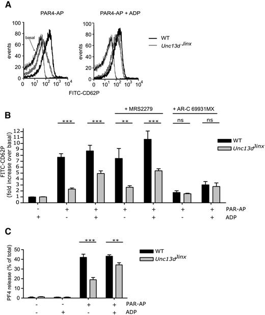 Figure 1. The role of Munc13-4 and ADP/P2Y12 signaling in platelet α-granule secretion. Washed platelets were prepared from WT and Unc13dJinx mice. Indomethacin (10 µM) was added to remove the effect of P2Y12-dependent regulation of thromboxane A2 synthesis. Platelets were stimulated with PAR4-AP (AYPGKF-NH2 / PAR4-AP; 300 µM) for 10 minutes in the presence of fluorescein isothiocyanate-labeled anti-CDP62P antibodies. CD62P surface expression was determined by flow cytometry. (A) Shows representative histograms of platelets stimulated with PAR4-AP in the absence or presence of exogenous ADP (10 µM). (B) Shows mean data (±S.E.). In some experiments, platelets were pretreated with the P2Y1 antagonist, MRS2279 (10 µM), or the P2Y12 antagonist, AR-C69913MX (1 µM), prior to stimulation. n = 5-14; **P < .01; ***P < .001 (2-way analysis of variance, Bonferroni posttest). In (C), platelets were stimulated with PAR4-AP and/or ADP. Platelets were pelleted by centrifugation and released PF4 in the supernatant was quantified by enzyme-linked immunosorbent assay. Released PF4 is expressed as the percentage of total PF4 in unstimulated platelets. n = 4; **P < .01; ***P < .001 (2-way analysis of variance, Bonferroni posttest).