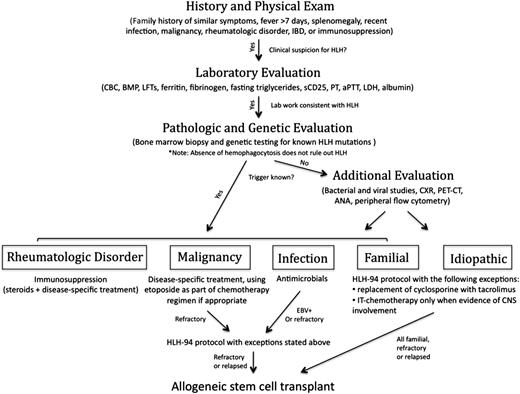 Figure 1. Schematic algorithm of our approach to the diagnosis and treatment of adult HLH.
