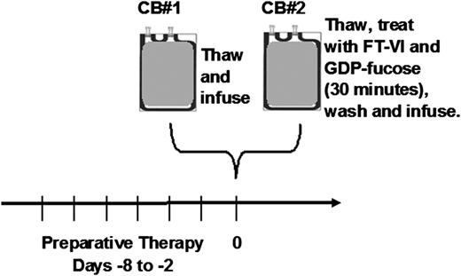 Figure 1. Transplantation of unmanipulated and fucosylated CB cells. Patients were admitted on day −8 for intravenous hydration, and the preparative regimen was given from days −7 to −2. On day 0, the CB unit with the highest TNC dose was thawed, washed, and infused without further manipulation. The unit with the smaller TNC dose was then thawed, washed, and treated with 100 mU/mL FT-VI and 1 mM GDP β-fucose (Targazyme) for 30 minutes at room temperature. The fucosylated cells were then washed and infused.