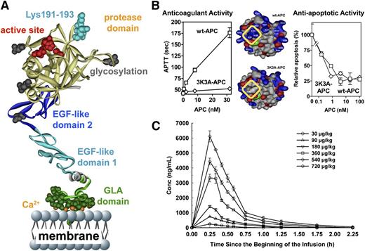 Figure 5. 3K3A-APC with reduced anticoagulant activity but normal cytoprotective activity is safe in humans when given as a high-dose bolus regimen. (A) The polypeptide ribbon model of APC depicts the N-terminal Gla domain at the bottom, which binds EPCR and phospholipid membranes; the EGF-1 and EGF-2 domains in the middle; and the protease domain at the top, with the “active site” triad residues (His211, Asp257, Ser360) labeled in red. Light blue coloring highlights 3 Lys residues (KKK191-193) on top of the protease domain, which form a positively charged exosite that recognizes factor Va. (B) Mutation of these Lys residues to Ala residues in the human APC variant 3K3A-APC (area outlined in yellow, middle image) deletes a factor Va binding site and consequently reduces anticoagulant activity by >90% (left graph) but does not affect 3K3A-APC’s antiapoptotic activity when tested in endothelial cell apoptosis assays (right graph). This 3K3A-APC variant is designated to be “signaling-selective” because it lacks most anticoagulant activity but retains normal cell-signaling actions. (C) In a phase 1 clinical study of 3K3A-APC, high-dose boluses were safe when administered to healthy adults and formed the basis for US Food and Drug Administration approval of a phase 2 study of 3K3A-APC in ischemic stroke patients (http://www.neuronext.org/neuronext-pleased-announce-funding-our-fourth-approved-trial-safety-evaluation-3k3a-apc-ischemic). Panel C reprinted from Lyden et al23 with permission.