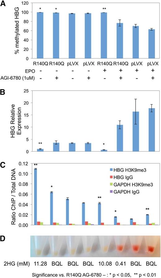 Figure 5. AGI-6780 releases TF-1 R140Q differentiation block by allowing EPO-induced demethylation; reduced histone mark in the γ-globin (HBG) promoter. (A) Pretreatment of TF-1 R140Q cells with AGI-6780 allows EPO-induced demethylation of the HBG promoter. (IDH2, EPO, and AGI-6780 conditions apply to all subfigures; error bars show standard deviation). (B) RT-qPCR for HBG expression shows that treatment of IDH2 R140Q cells with AGI-6780, which decreased DNA hypermethylation at this promoter, can restore expression of HBG. GAPDH expression used for control. (C) AGI-6780 induced dissociation of H3K9me3 from the HBG promoter (as measured by ChIP, using an anti-H3K9me3 antibody) and restored differentiation and expression of HBG, as measured by RT-PCR and the red color change of the cells in the microtubes. Fold enrichment of the HBG promoter with H3K9me3 compared with input DNA was determined by qPCR. Nonspecific enrichment was measured by immunoprecipitation with α-IgG and lack of association of H3K9me3, with the GAPDH gene promoter serving as controls. (D) Picture of the cell pellets and 2HG levels (mM) at cell harvest.