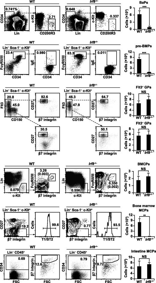 Figure 2. Basophil and mast cell progenitor populations in Irf8−/− mice. Flow cytometric analysis of basophil/mast cell progenitor populations in WT and Irf8−/− mice. Representative flow cytometry data are shown. Numbers in the parentheses indicate the percentages relative to total cell counts. Values in the bar graphs are means ± standard deviations from 5 to 7 mice of each genotype. The reduced percentages of Lin− cKit+ FcγRII/III− CD34− cells (megakaryocyte-erythroid progenitors) and Lin− CD150+ Flt3− cells (megakaryocyte-erythroid progenitor-like population) in Irf8−/− mice are consistent with previous reports.37 **P < .01; ***P < .001 (Student t test). FSC, forward scatter; NS, not significant.