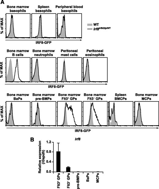 Figure 3. IRF8 protein expression in granulocytes, mast cells, and their progenitors. (A) Using Irf8Irf8Gfp/WT mice, IRF8 protein expression was determined as GFP fluorescence intensity in each indicated cell population gated by cell surface antigen staining using flow cytometry. Data are representative of 2 independent experiments with similar results. (B) Irf8 transcript levels were measured by RT-qPCR. Values in the bar graphs are means ± standard deviations from triplicate samples. Analysis of IRF8 protein expression in other hematopoietic progenitor populations has been reported elsewhere.26,27