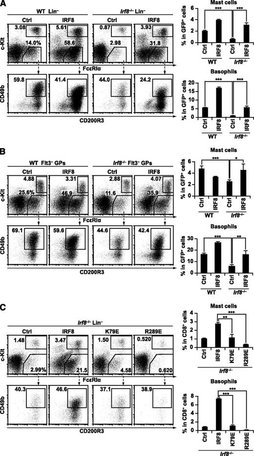Figure 5. The effect of forced IRF8 expression on basophil and mast cell differentiation. (A-B) Bone marrow Lin− cells and Flt3− GPs from WT and Irf8−/− mice were transduced with empty MIG (MSCV-internal ribosome entry site-GFP) or MIG-IRF8 retrovirus in the presence of IL-3 on day 1. Retrovirally transduced (GFP+) cells were analyzed for basophil and mast cell generation on day 7. (C) Bone marrow Lin− cells from Irf8−/− mice were transduced with empty MICD8 (MSCV-internal ribosome entry site-human truncated CD8) vector (Ctrl), MICD8-IRF8, MICD8-IRF8K79E, or MICD8-IRF8R289E, and analyzed as described in (A). Retrovirally transduced (human CD8+) cells were analyzed. Values in the bar graphs are means ± standard deviations from triplicate samples. Similar results were obtained in 3 additional independent experiments (A) or 1 additional independent experiment (B-C). *P < .05; **P < .01; ***P < .001 (Student t test).