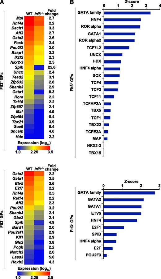 Figure 6. Transcriptome analysis of GPs and the prediction of transcription factors downstream of IRF8. Gene expression profiling of fluorescence-activated cell sorter–purified Flt3+ and Flt3− GPs from WT and Irf8−/− mice was performed by microarray in biological duplicates. (A) Expression levels of transcription factor genes downregulated in Irf8−/− GPs (false discovery rate <0.05; fold change >2) are displayed as a heat map. (B) Known DNA-binding motif analysis for the transcription factors depicted in (A) was performed in the 5 kb regions upstream of TSSs of the genes downregulated in Irf8−/− GPs (false discovery rate < 0.05; fold change > 2) in comparison with all the other genes. The significance of the enrichment of DNA-binding motif instances was quantified by the Z-score.