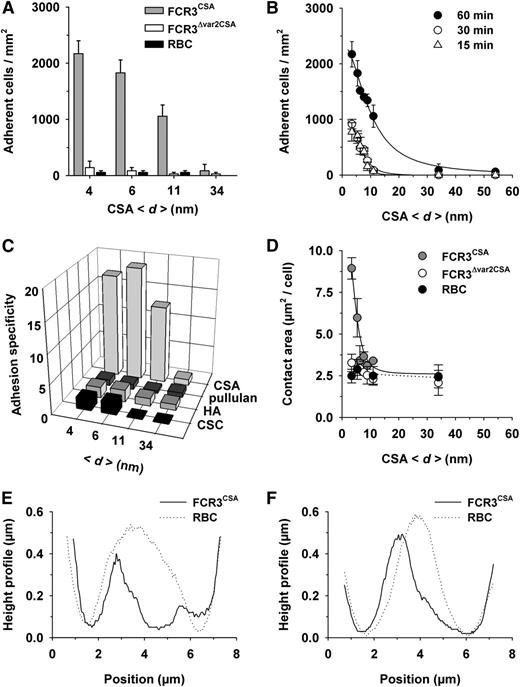 Figure 2. Effect of the intermolecular CSA distance on cytoadhesion of P falciparum–infected erythrocytes. (A) Cytoadhesion behavior of erythrocytes infected with FCR3CSA or FCR3Δvar2csa (trophozoite stage) or of uninfected erythrocytes (RBC) on functionalized membranes with different CSA spacing intervals (<d>). In panels A-D, 4 × 107 cells mL−1 were allowed to settle on the membranes for 60 minutes under controlled atmospheric conditions before unattached cells were washed out at a wall shear stress of 0.8 Pa. The means ± standard deviation (SD) of at least 5 biological replicates are shown. (B) Cytoadhesion behavior of erythrocytes infected with FCR3CSA as a function of the intermolecular CSA distance and the incubation time. The following intermolecular distances between CSA molecules were investigated: 4, 6, 7, 8, 9, 11, 13, 16, 17, 34, and 54 nm, with an SD of 0.6 nm for all CSA distances. The data points were fitted using hyperbolic decay functions with Hill coefficient. (C) Cytoadhesion specificity of erythrocytes infected with FCR3CSA versus erythrocytes infected with FCR3Δvar2csa on supported membranes functionalized with pullulan or with the glycosaminoglycans CSA, hyaluronic acid (HA), or chondroitin sulfate C (CSC). (D) Area of tight contact between the functionalized membrane and the cells indicated as a function of the intermolecular CSA distance. Effect of CSA distance on cell deformation is shown in the reconstructed 3-dimensional height profiles of the bottom planes of a single erythrocyte infected with FCR3CSA or an uninfected erythrocyte (RBC) resting on functionalized membranes, with a CSA spacing of 6 nm (E) and 11 nm (F). Representative height profiles of at least 10 biological replicates are shown.