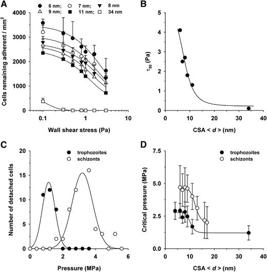 Figure 3. Effect of the intermolecular CSA distance on the detachment of erythrocytes infected with FCR3CSA. (A) Cells (4 × 107 mL−1) were allowed to settle on the CSA-functionalized membranes for 60 minutes under controlled atmospheric conditions before gradually increasing wall shear stresses (ranging from 0.1 to 5 Pa) were applied. The number of adherent cells were subsequently determined for each hydrodynamic condition and analyzed as a function of the wall shear stress. The mean ± SD of at least 4 biological replicates are shown. The data points were fitted using an exponential decay function. (B) The wall shear stress at which 50% of the cells detached (τ50) was determined for each hydrodynamic condition and analyzed as a function of the CSA distance. The data were fitted using a Hill function. (C) Erythrocytes infected with FCR3CSA at the trophozoite and schizont stages were allowed to adhere on a functionalized membrane with an intermolecular CSA distance of 6 nm for 60 minutes under controlled atmospheric conditions. Noncorpuscular ultrasonic pressure waves ranging from 0.3 to 5.6 MPa were applied, and the number of detachment events was observed as a function of the hydrodynamic pressure. (D) The critical pressures at which 95% of the adherent cells detached are shown as a function of the intermolecular CSA distance. The data points were fitted using a Hill function. The means ± SD of at least 3 biological replicates are shown.